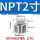 NPT2【1个】