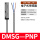 DMSG-PNP-020