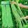 豇豆豆角种子(翡翠长龙)100gx2袋