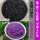 黑+紫2个色(可染7斤米)