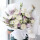 白菊海歌花束