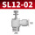 SL12-02