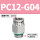 304-PC12-G04