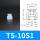 TS10S1