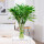 10根富贵竹+六角花瓶