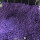 塑胶彩色颗粒 3mm 25kg紫色