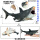 27CM巨齿鲨 -下颚可动