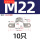 M22-10只