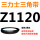 Z(O)1120 Li