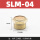 SLM04(1/2) 平头