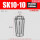 SK10-10(精度0.005)