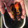 虎皮兰寿（4-6厘米）1条
