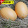 褐色鸡蛋1个(实心木质)
