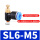 节流阀SL6-M5