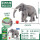 亚洲大象981503