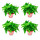 绿萝4盆+八角红盆储水盆