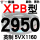 一尊进口硬线XPB2950/5VX1160