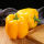黄甜椒6棵收藏宋肥