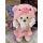 猪猪 30cm 白熊+套装