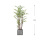 1.2米竹子+水泥花盆