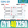 CDY1L40-250