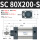 SC80X200S