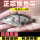 50条 白眼鳜鱼1-2厘米