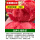 粉果西红柿200粒+肥【常见的西红
