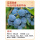 【蓝丰】蓝莓6年苗/当年或第二年