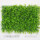 水草混合加密草坪40*60cm