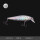 银鱼(10厘米15克)