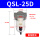 QSL-25D自动排水1寸/10公斤