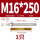 M16*250(304)(1个)