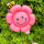 10个粉色蜜蜂雏菊夹片气球