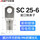 25-6（100只）