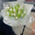 V款19朵白色郁金香花束