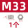 M33(1个)