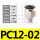 PC12-02【5只】