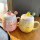 陶瓷粉蜜桃+黄柠檬+粉和绿球勺 0个 0ml