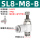 白SL8-M8B进气节流