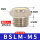 BSLM-M5