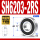 SH6203-RS胶封 17*40*12