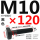 M10*120mm