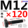 M12*120mm