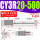 CY3R20-500