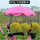 粉色伞+万向伞架