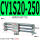 CY1S20-250