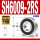 SH6009RS胶封(45*75*16)