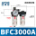 BFC3000A1 自动排水型