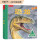 3-6岁 恐龙-科普立体书
